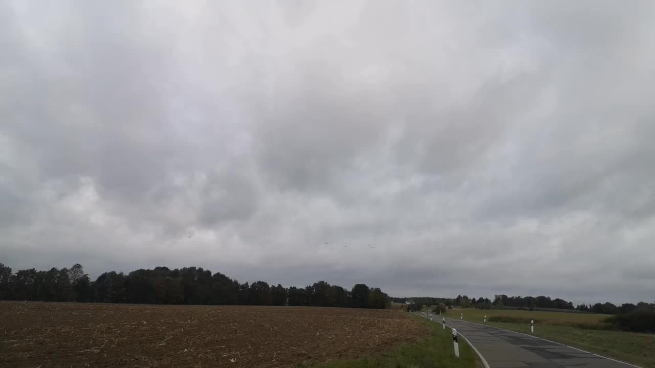 @Zw