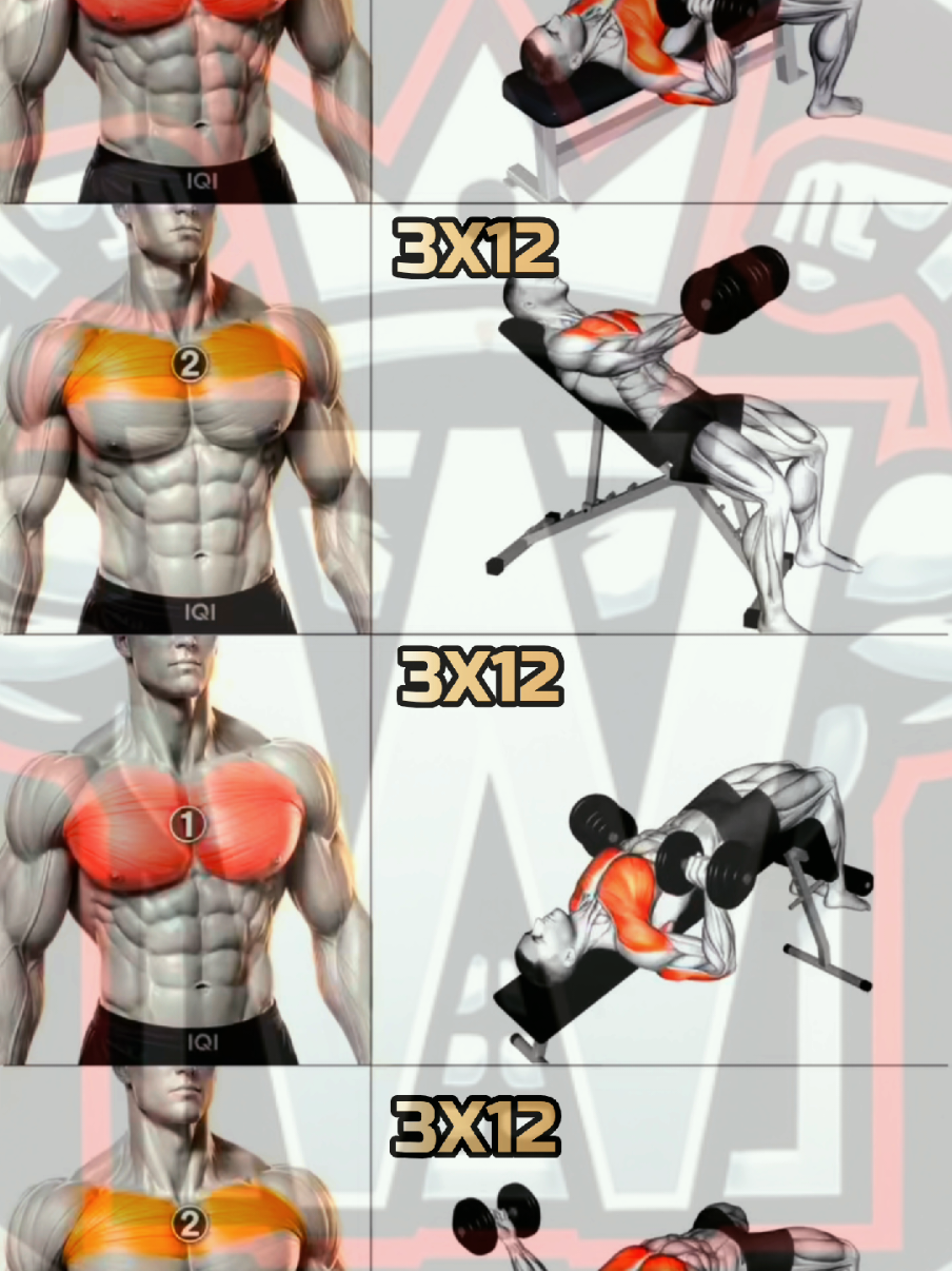 @Workout