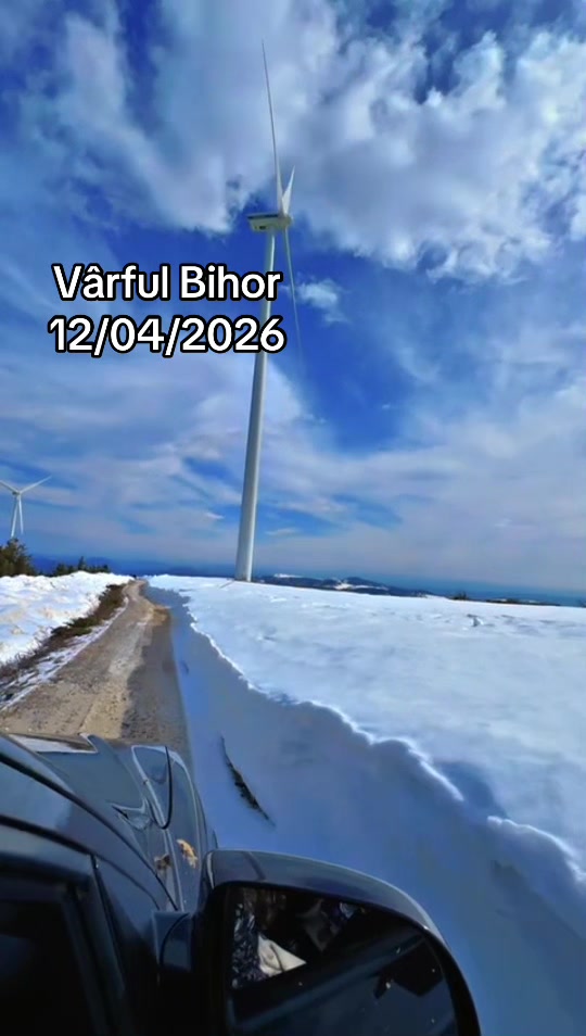 @Monica Trifuț
