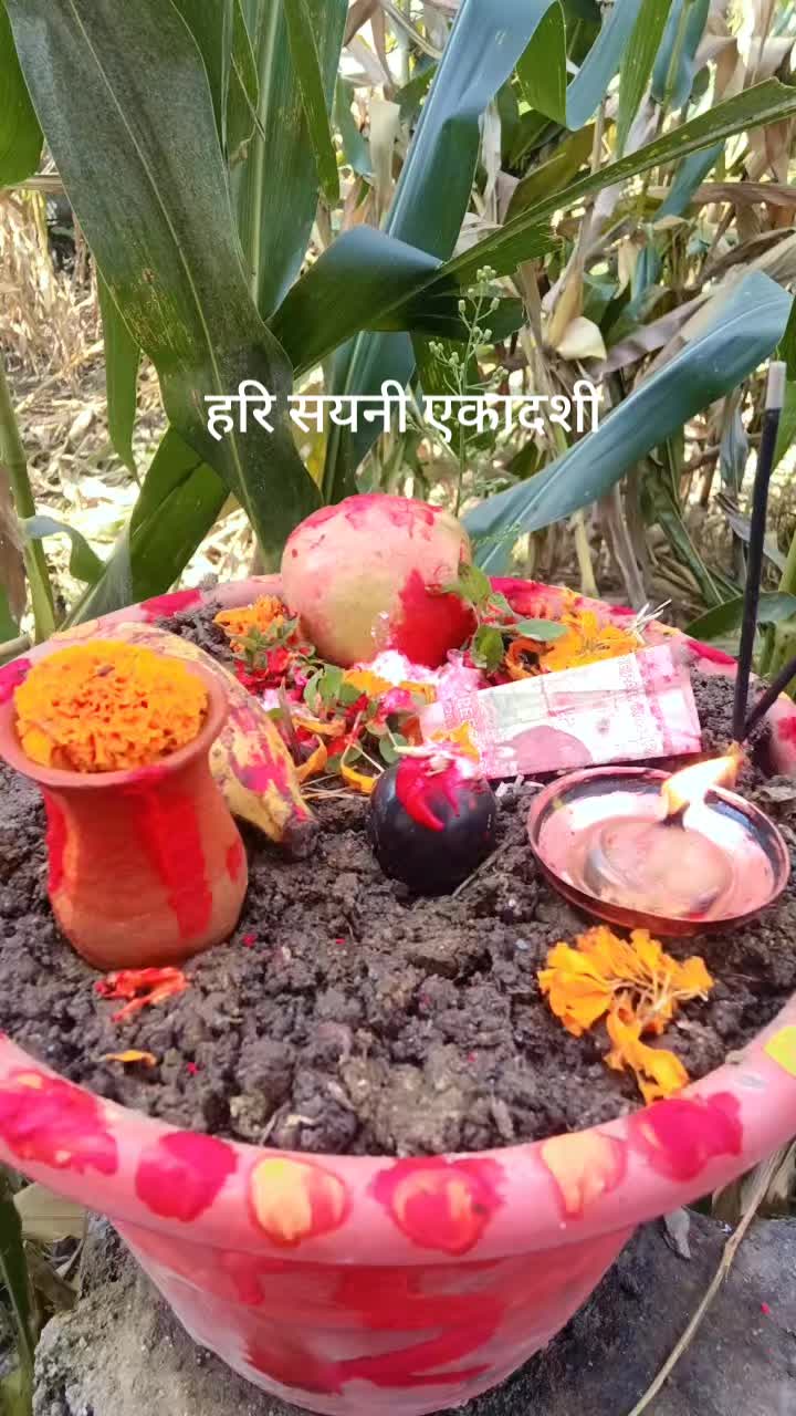 @aupsara