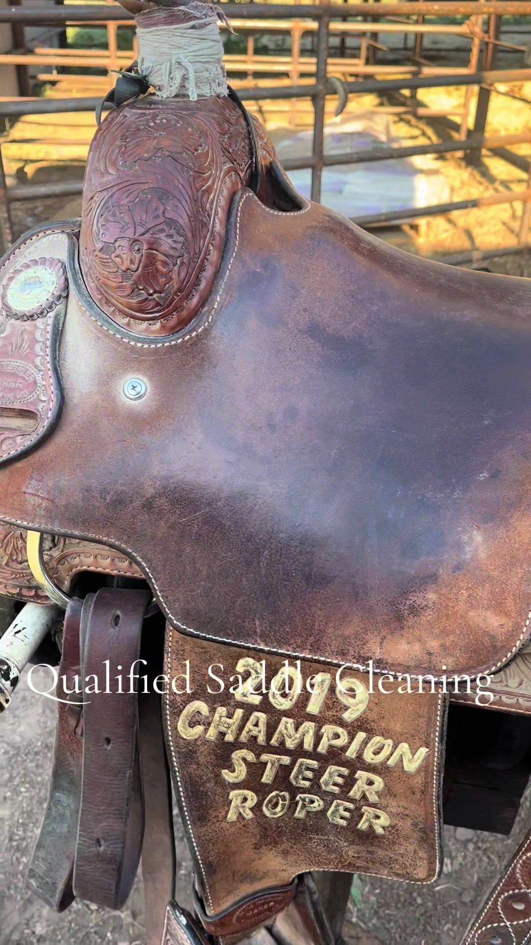 @Qualified Saddle Cleaning