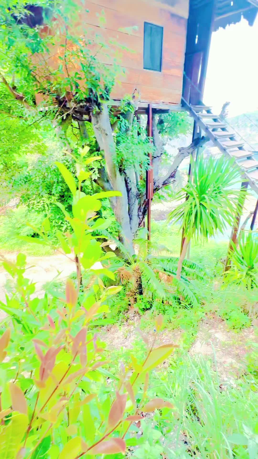 @BIRBAL.TAMANG