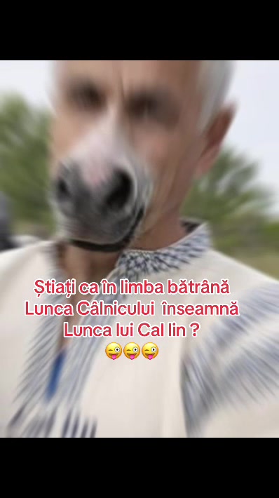 @Sebastian din Ardeal&trade;