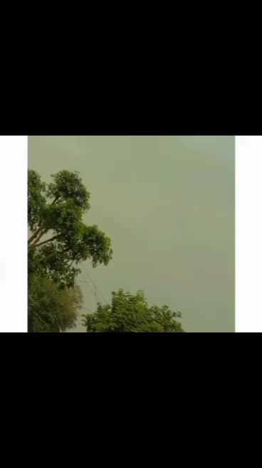 @اجمل سگو &hearts;️💔💜💯💘🖤💟💌💔