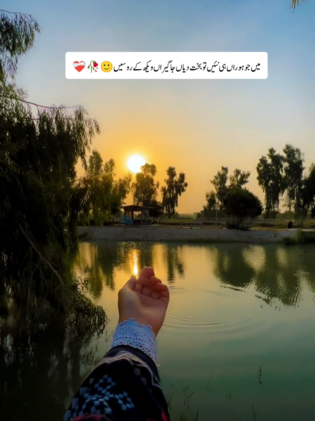 @𝑷𝒂𝒓𝒅𝒆𝒔𝒊 𝑲𝒊 𝑩𝒊𝒘𝒊🌸