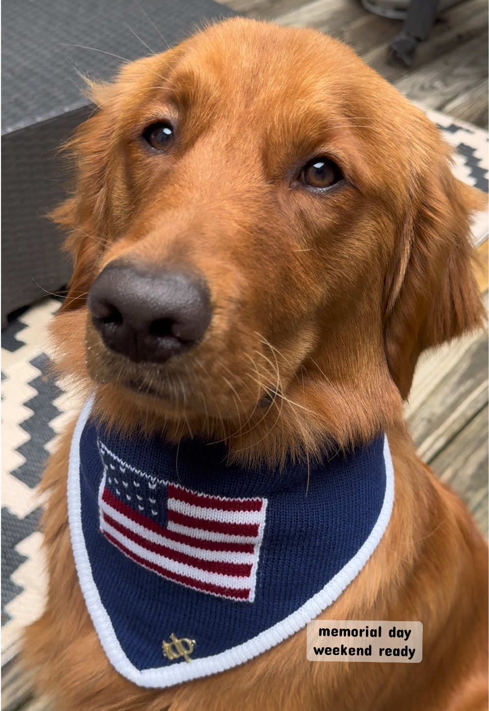 @Finn the Golden