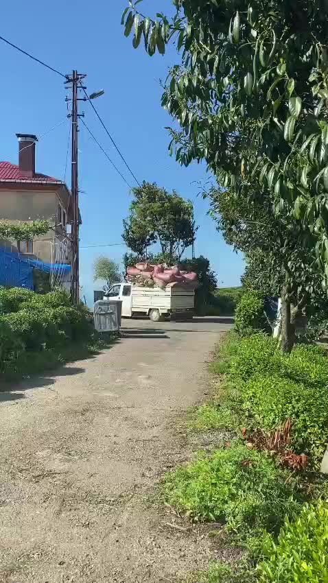 @KorKut_28