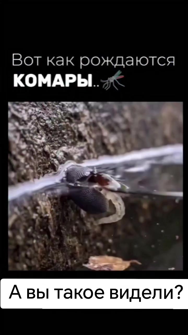 @Машулька