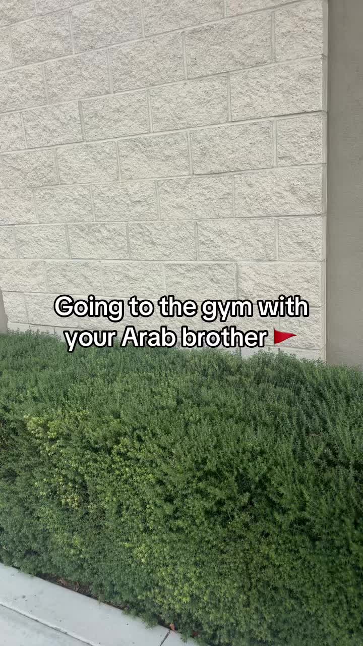 @Mimo