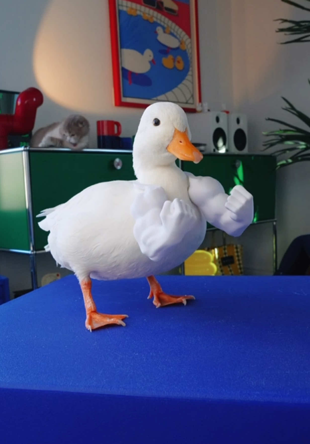 @ducks_in_space🪿🪿💦