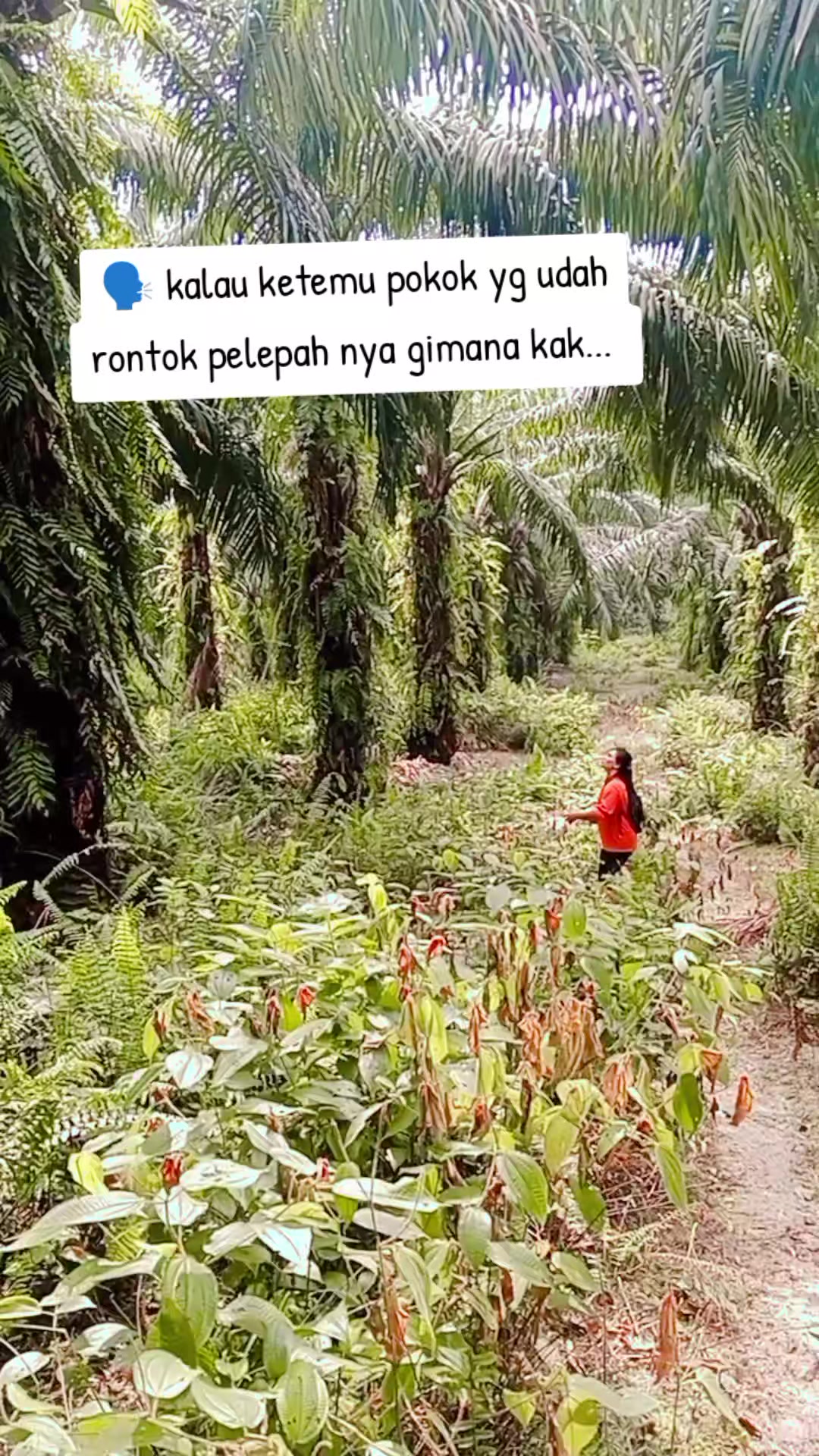 @Daryani yani