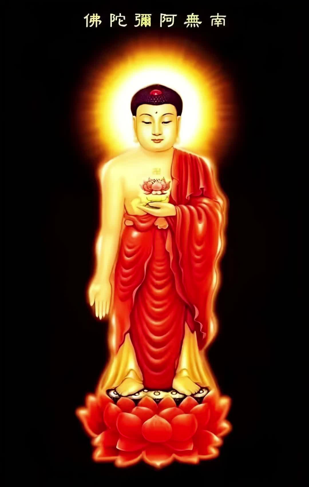 @南無阿彌陀佛🙏🙏🙏