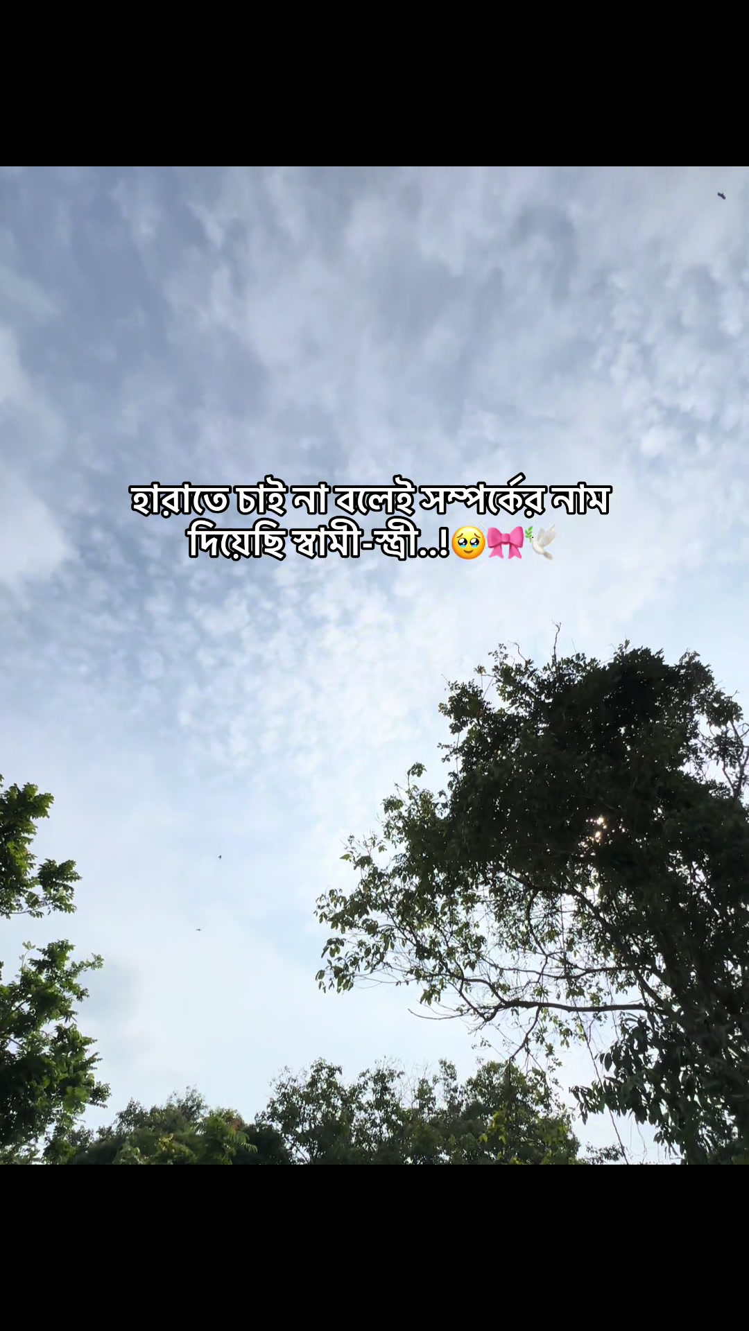 @đ° đĻ đ đ đ đ đ°'âĄ