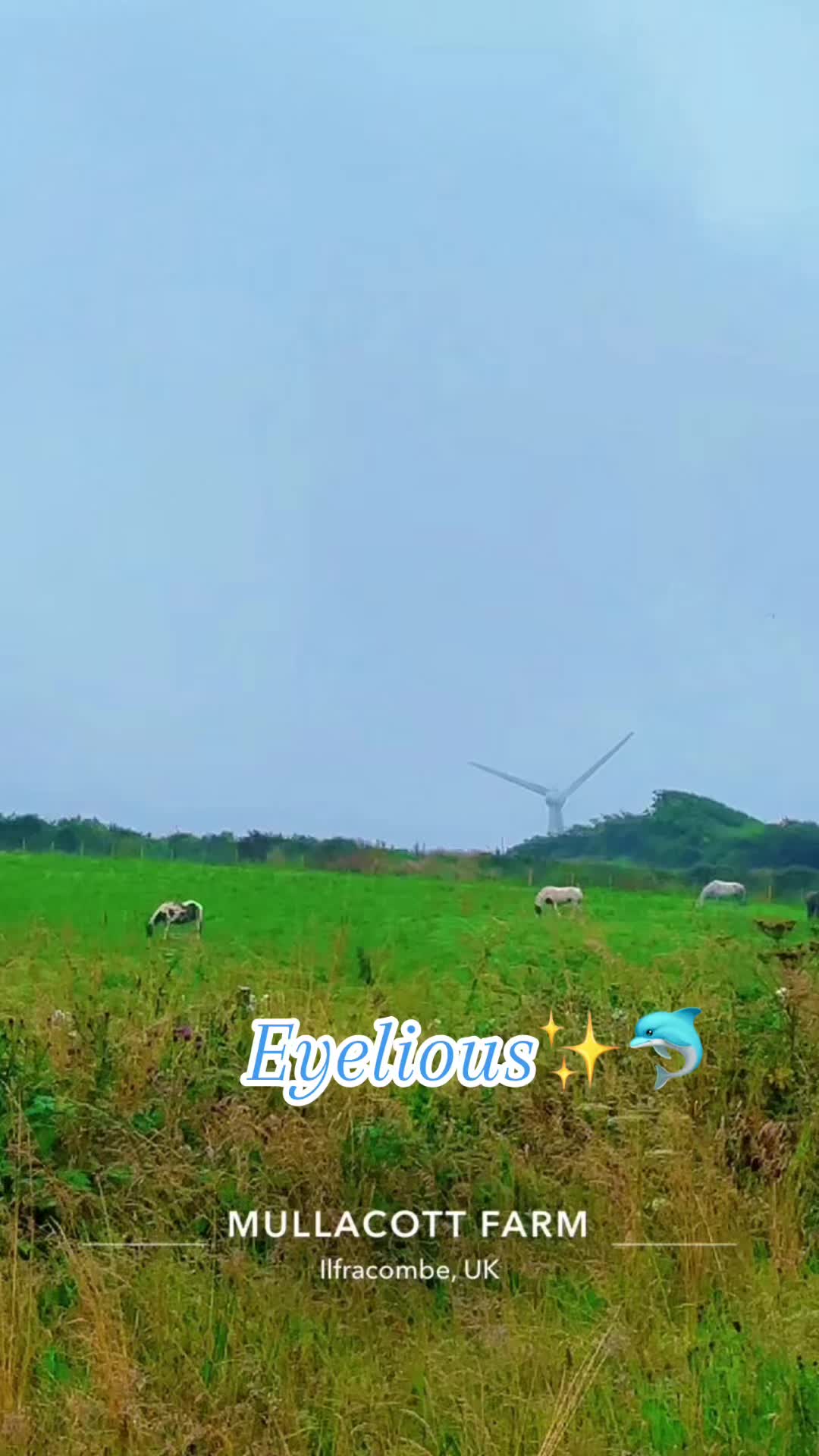 @𝓔𝔂𝓮𝓵𝓸𝓲𝓾𝓼✨🐬