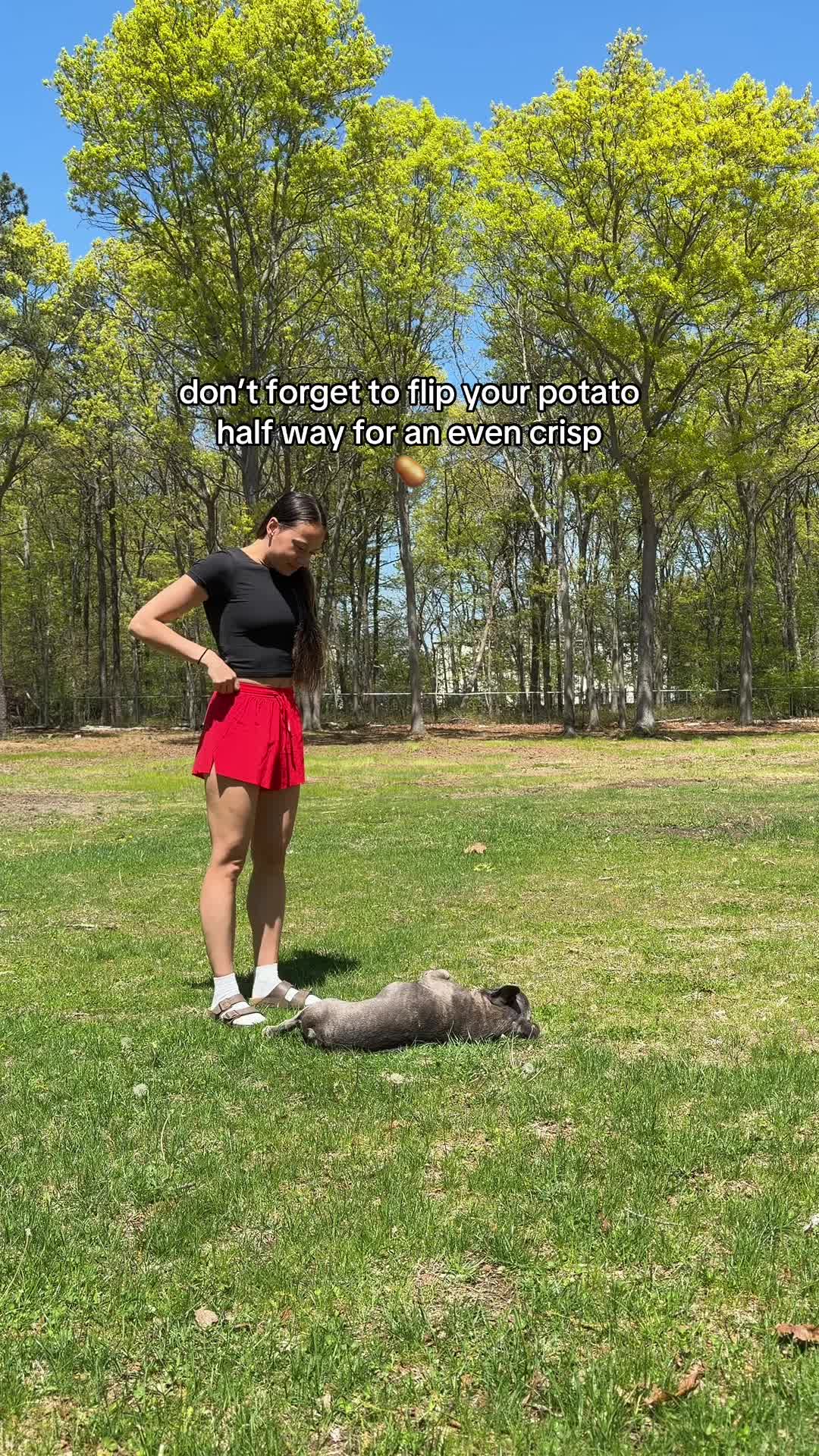 @Winston & Charlie 🐾