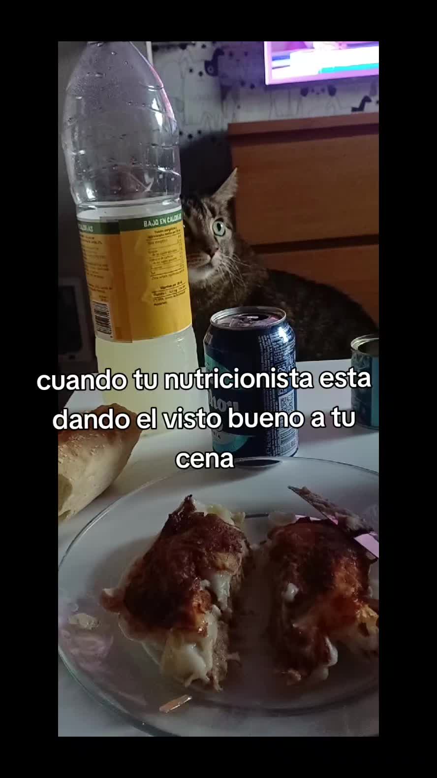 @Ana y los cuatro🐾