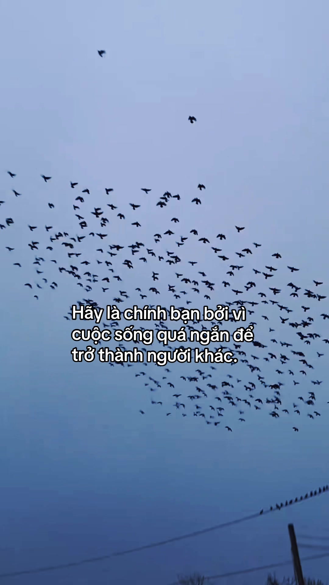 @Tezzy