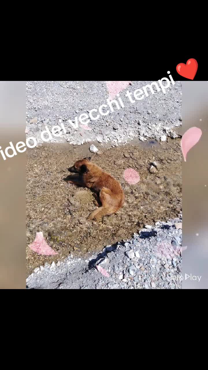 @giusy