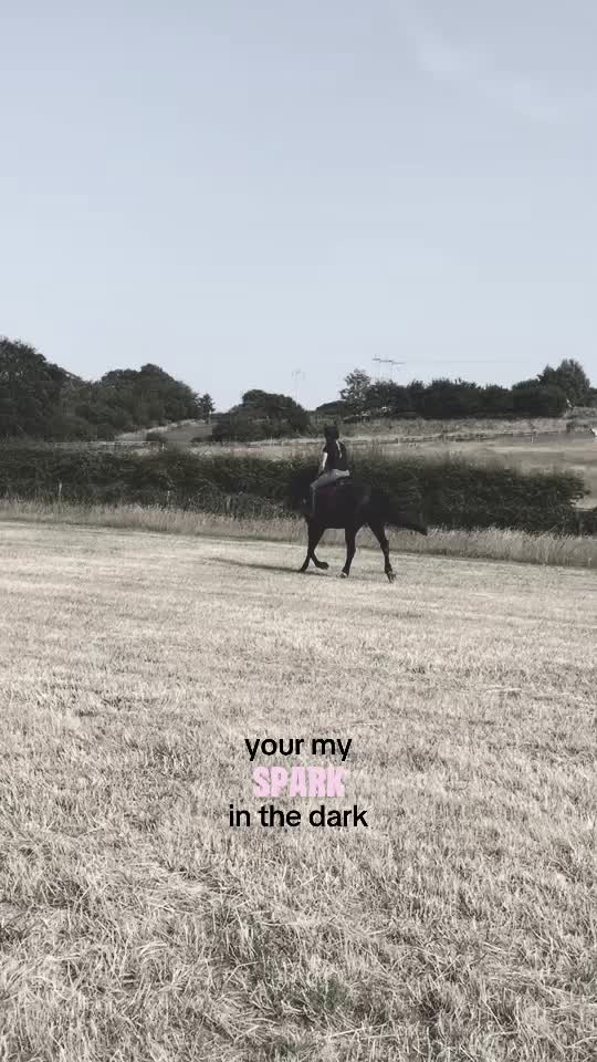 @daisy
