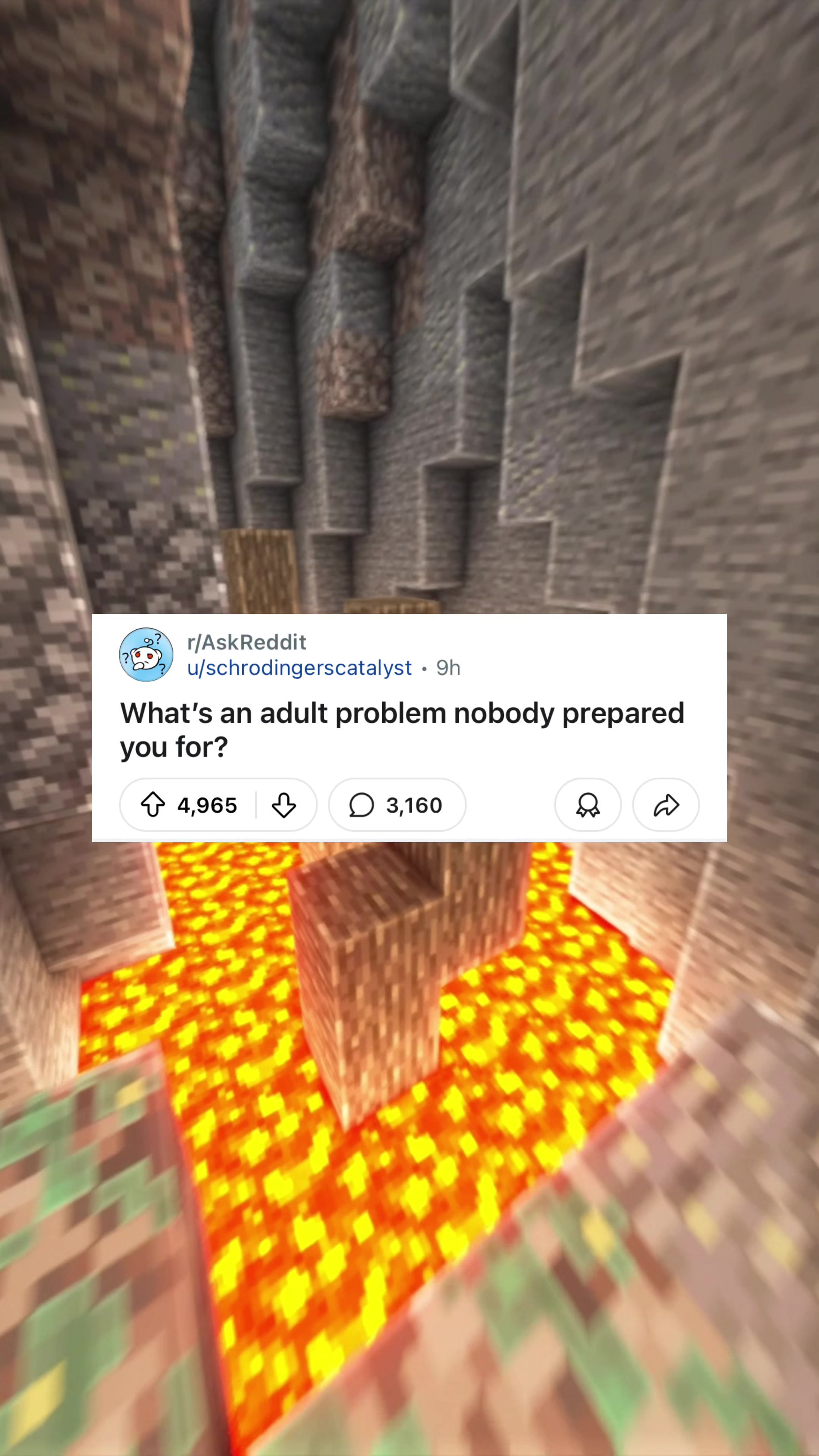 @Best of Reddit
