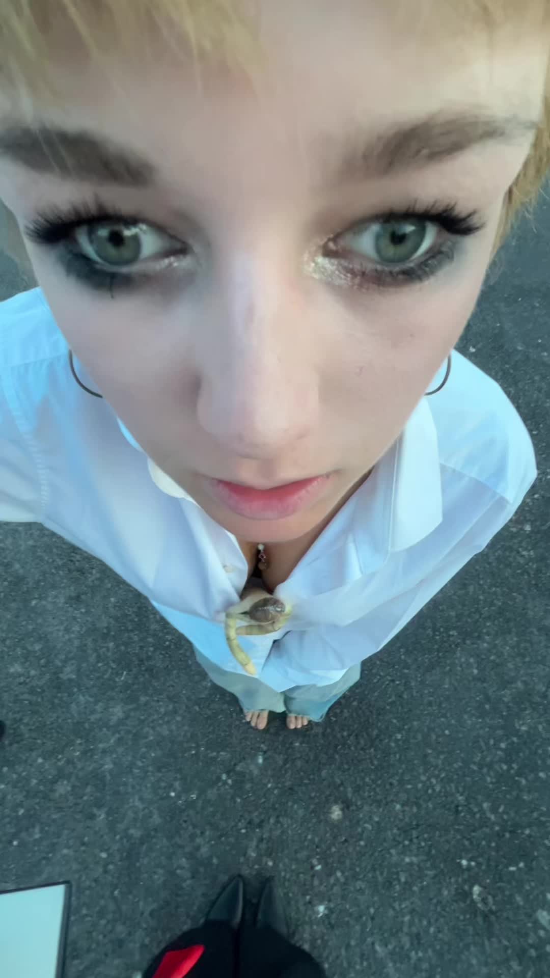 @🦖