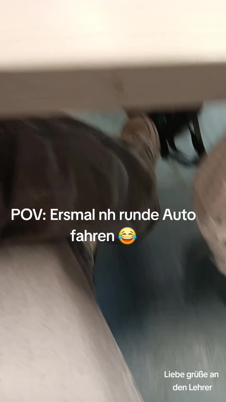 @lena_nz