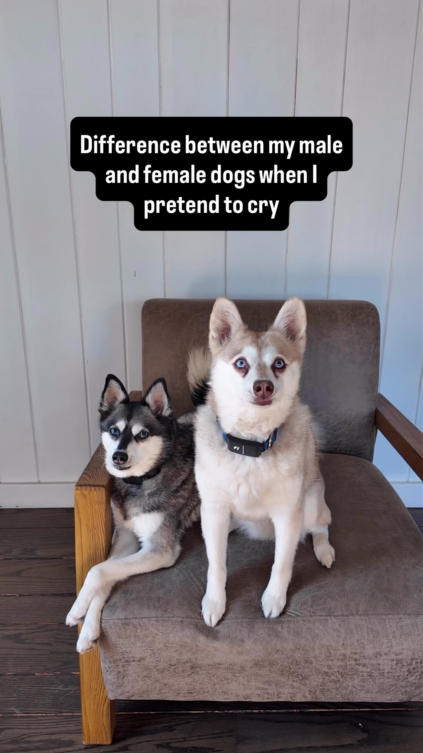 @lifewithkleekai