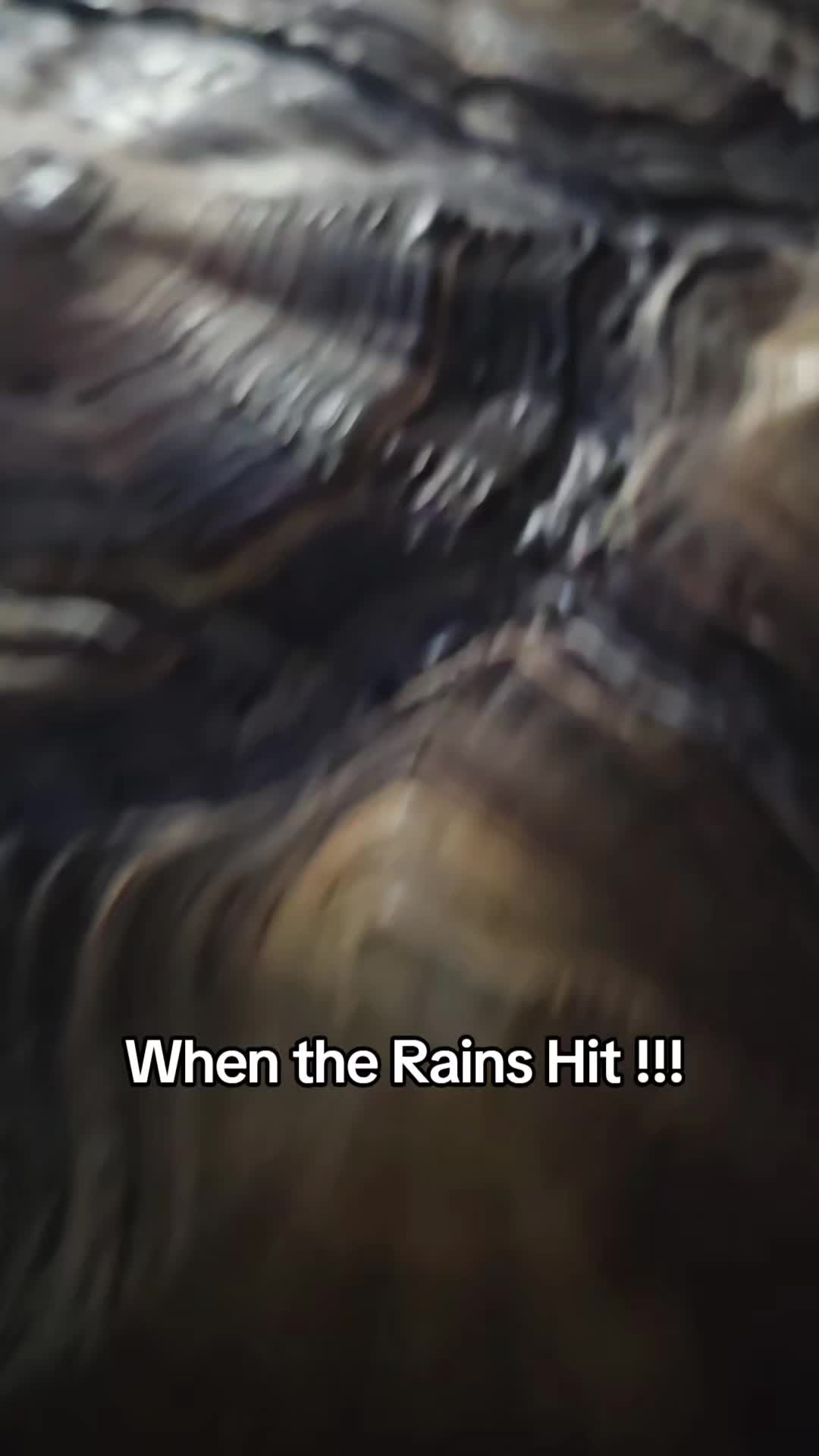 @Ryan aka Tourettes Lad