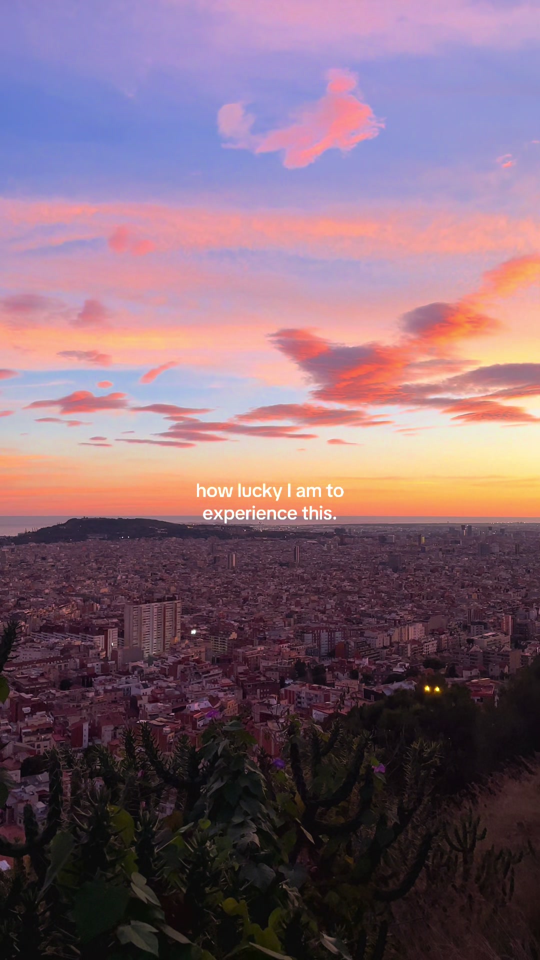 @MELDA🌺🍒🥥
