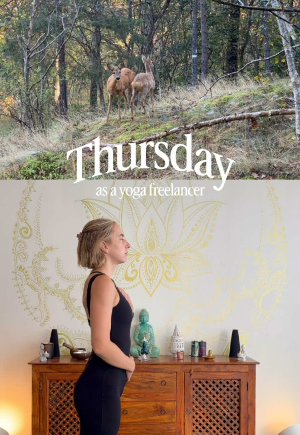 @Yoga with Camilla