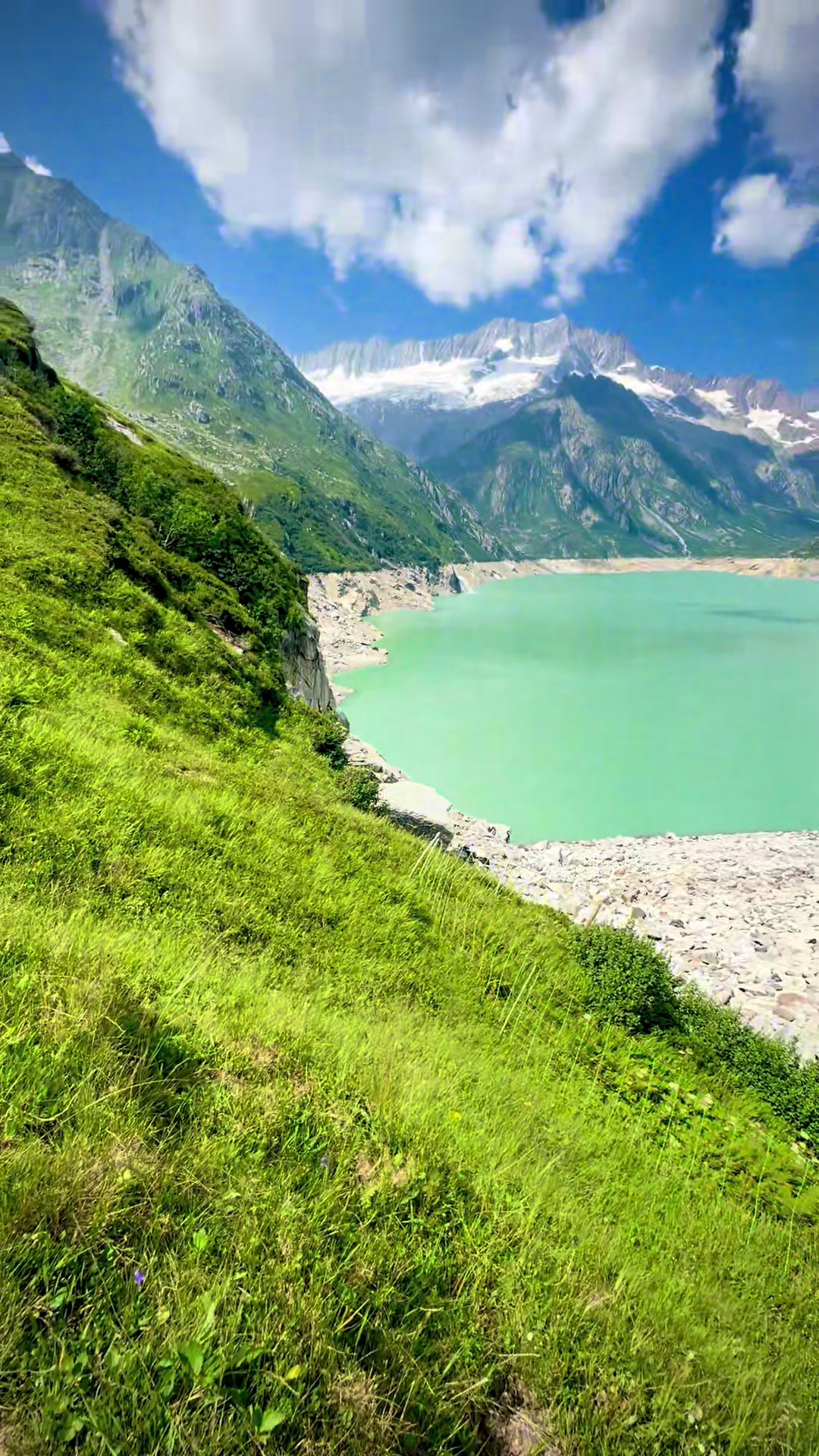 @Swiss_Vibe 🇨🇭