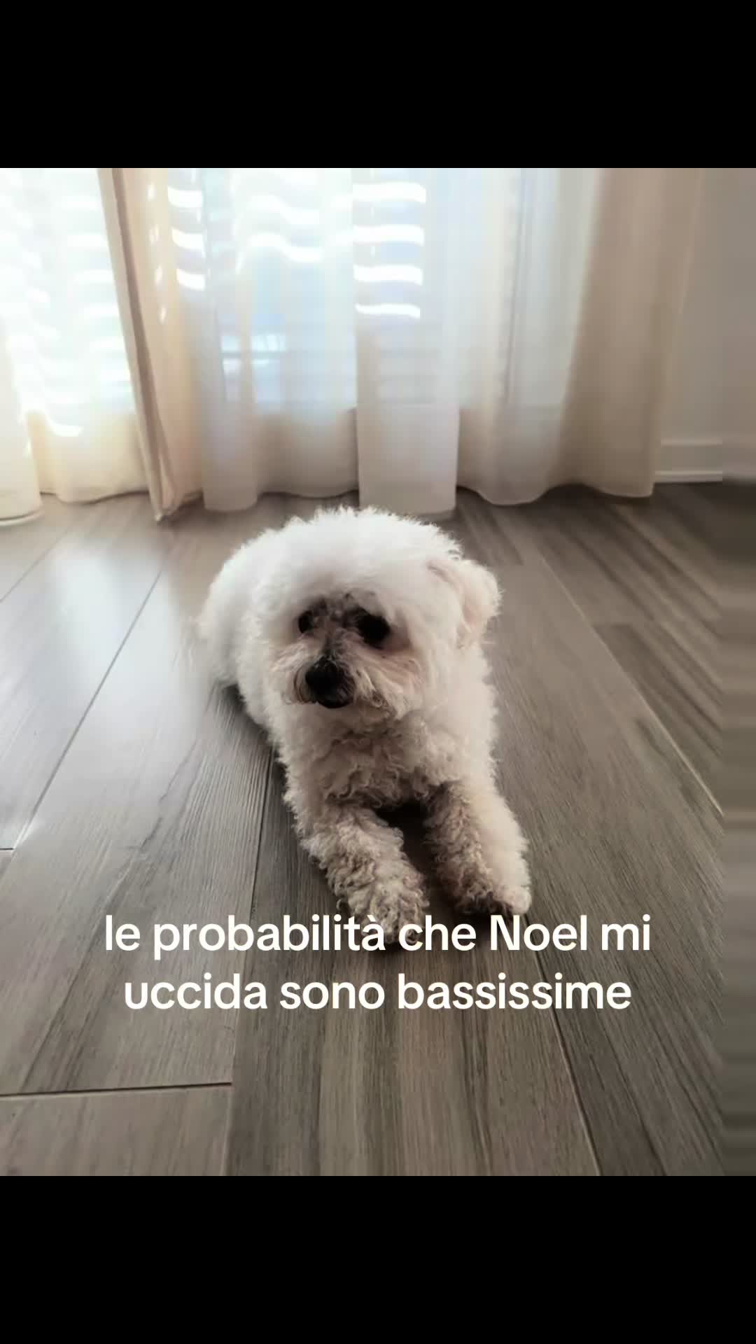 @CAMILLA💋