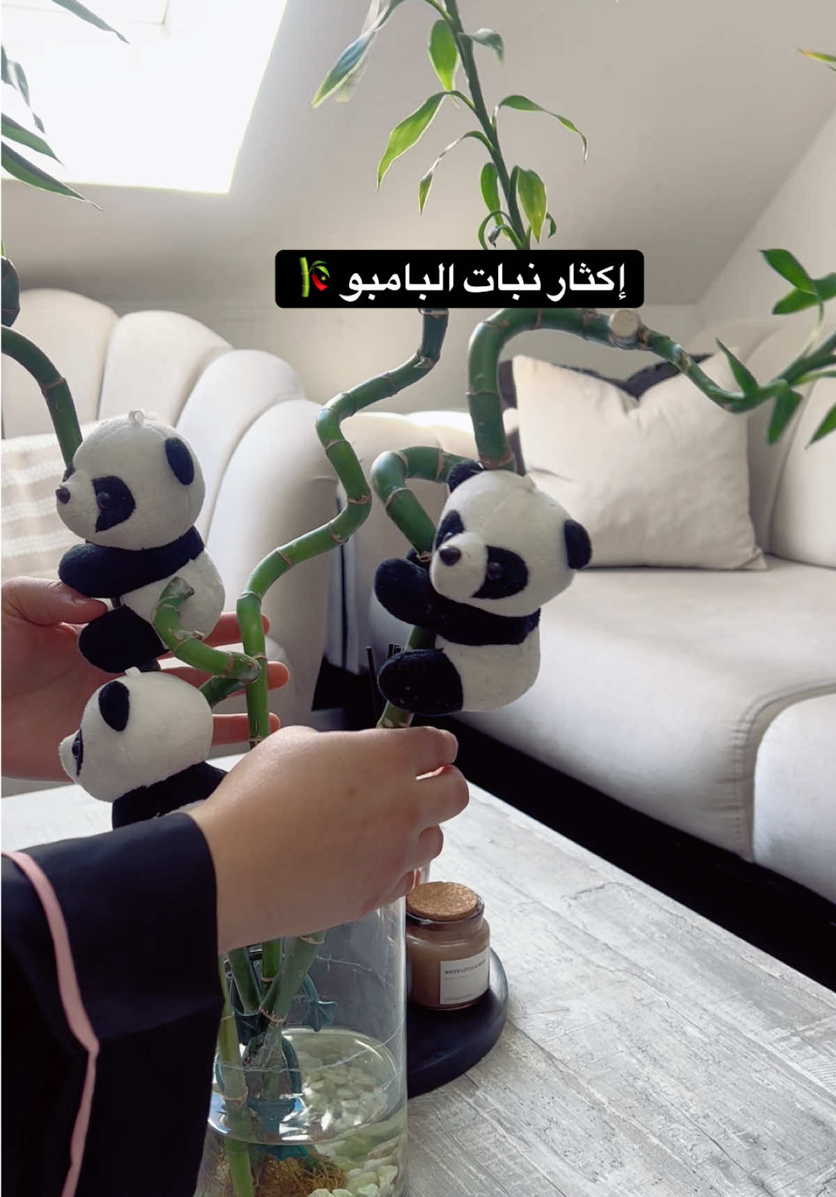 @|١٤١٤ه الَبتُــــــــــولْ