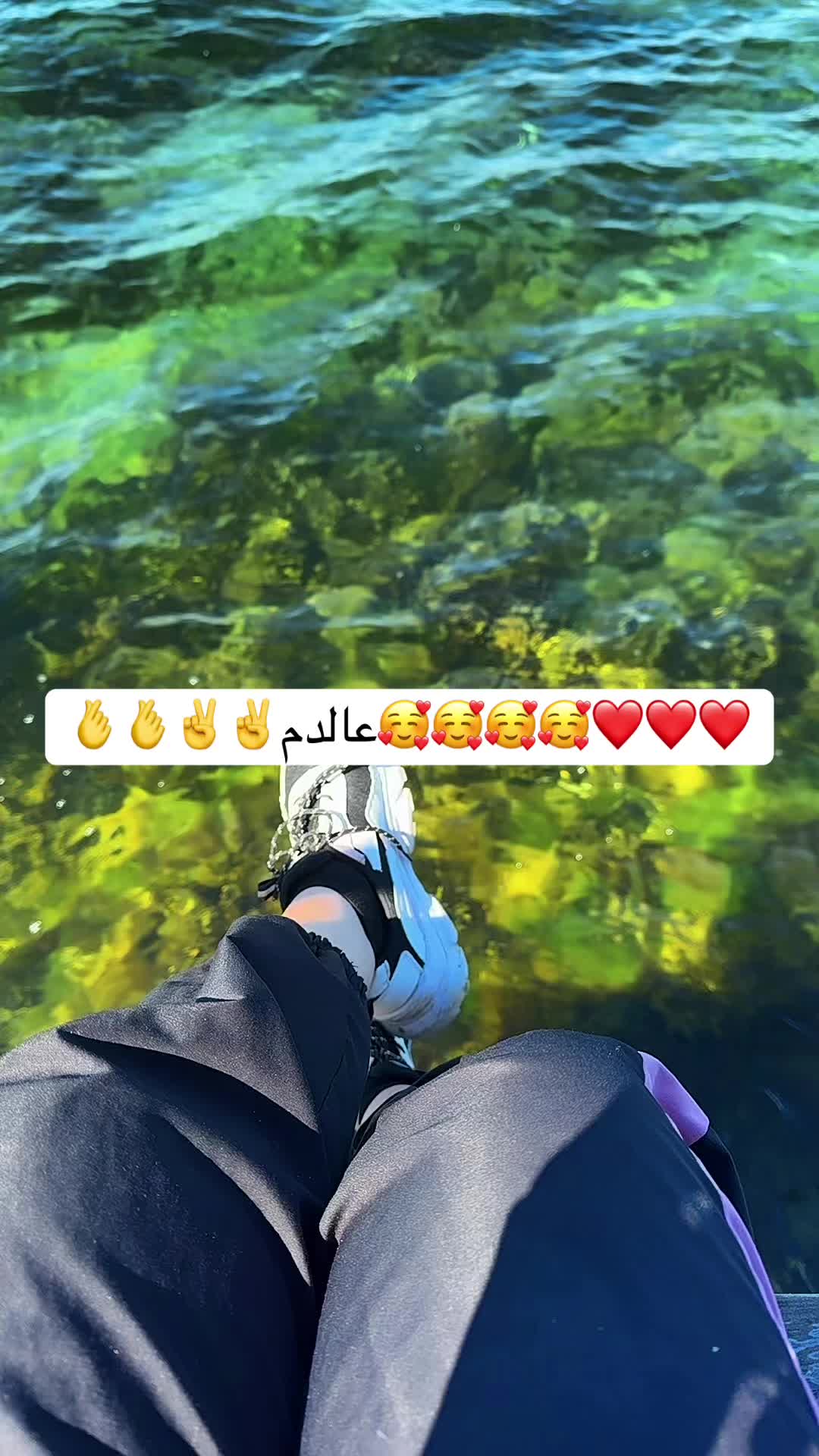 @🦋🇱🇴🇺🇱🇴🇺🦋