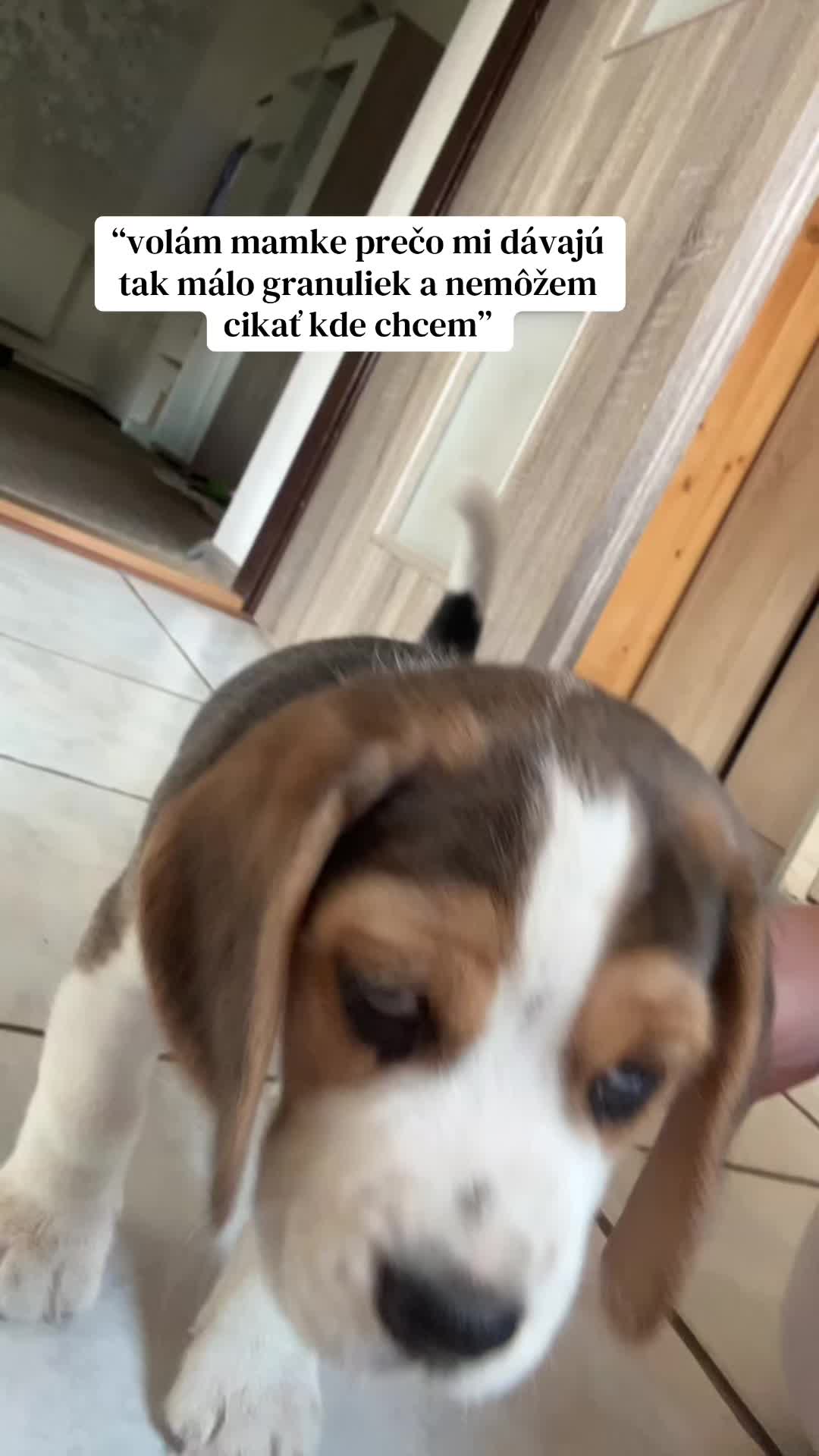 @Džulia🐒