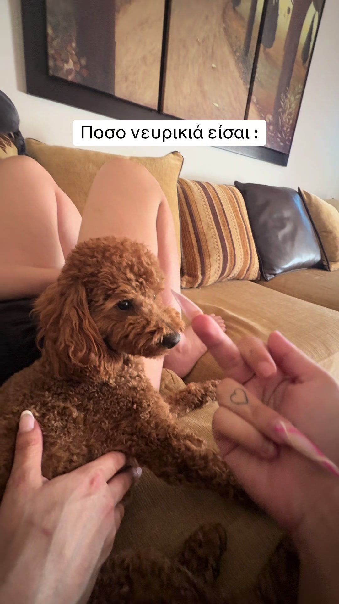 @𝓪𝓷𝓽𝓲𝓲𝓲