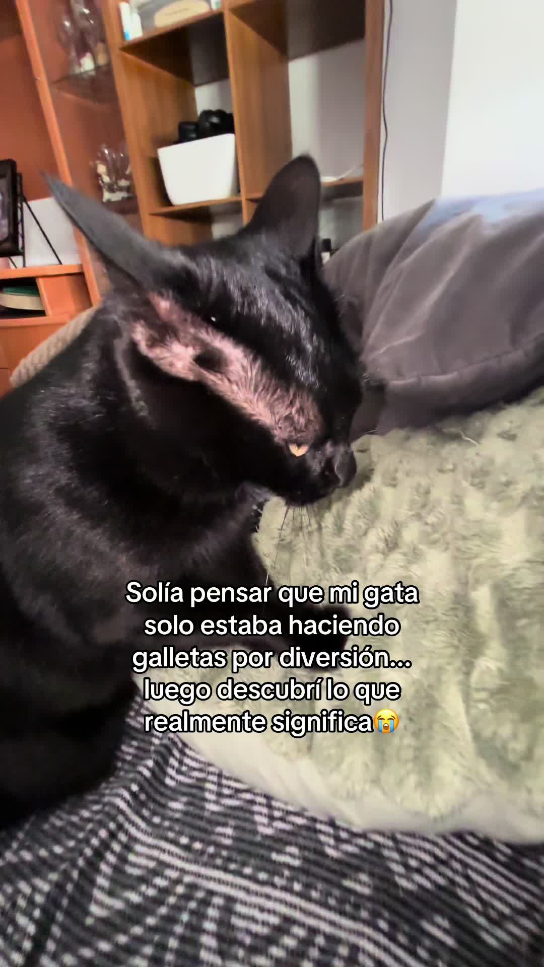 @BlackCatsMatter