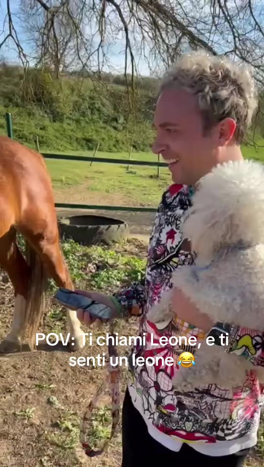 @Giulio Venturini