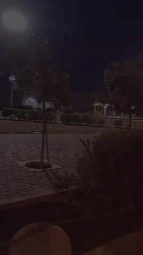 @𝒁𝑬𝑲𝑶 ✦