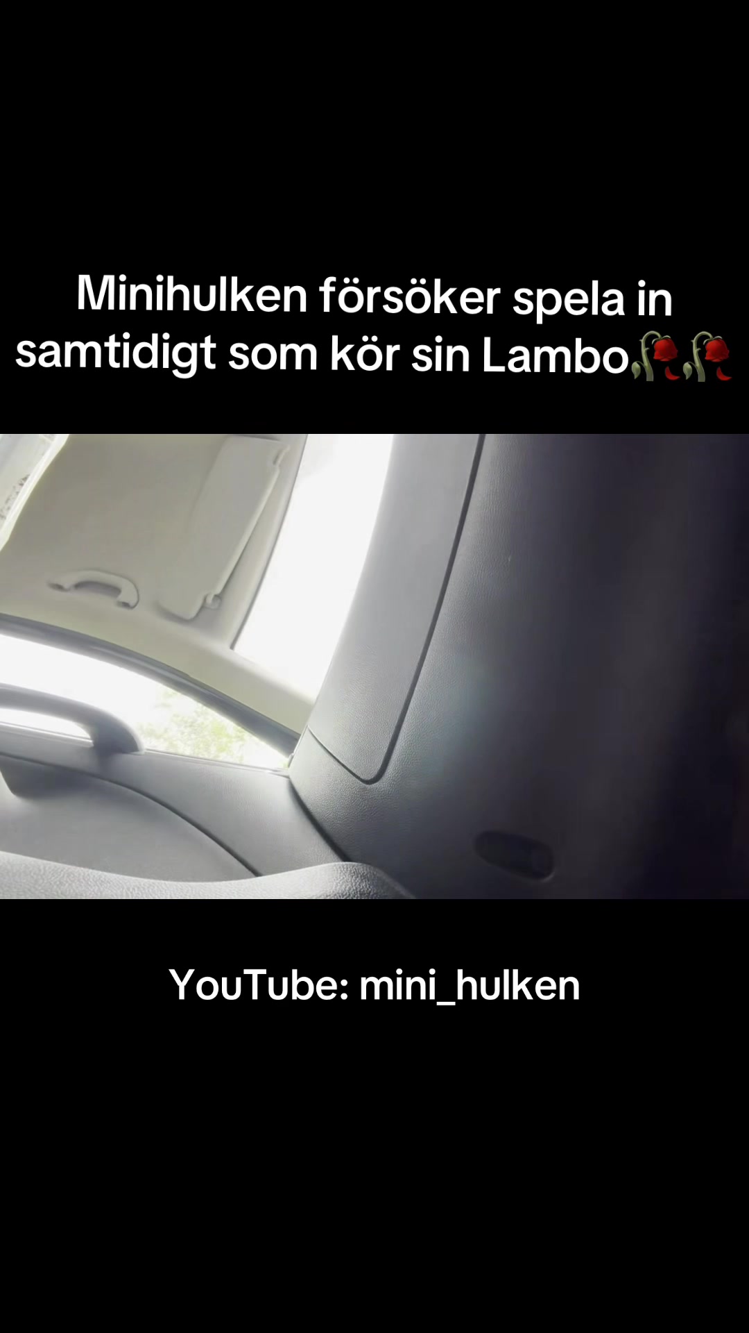 @Mini Hulken