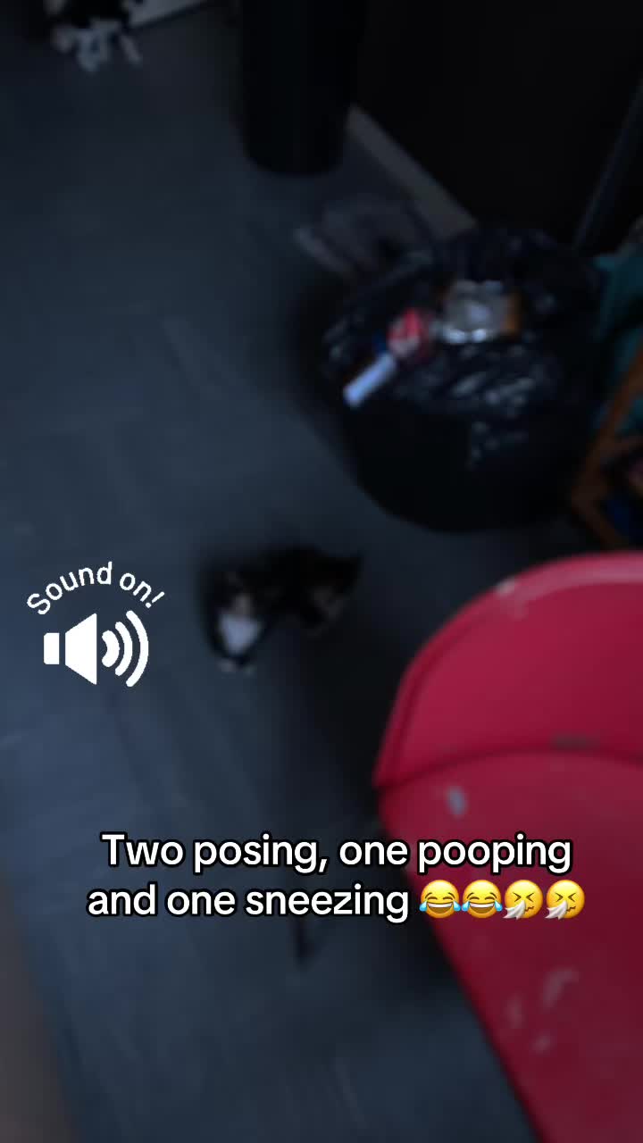 @Paigeyy