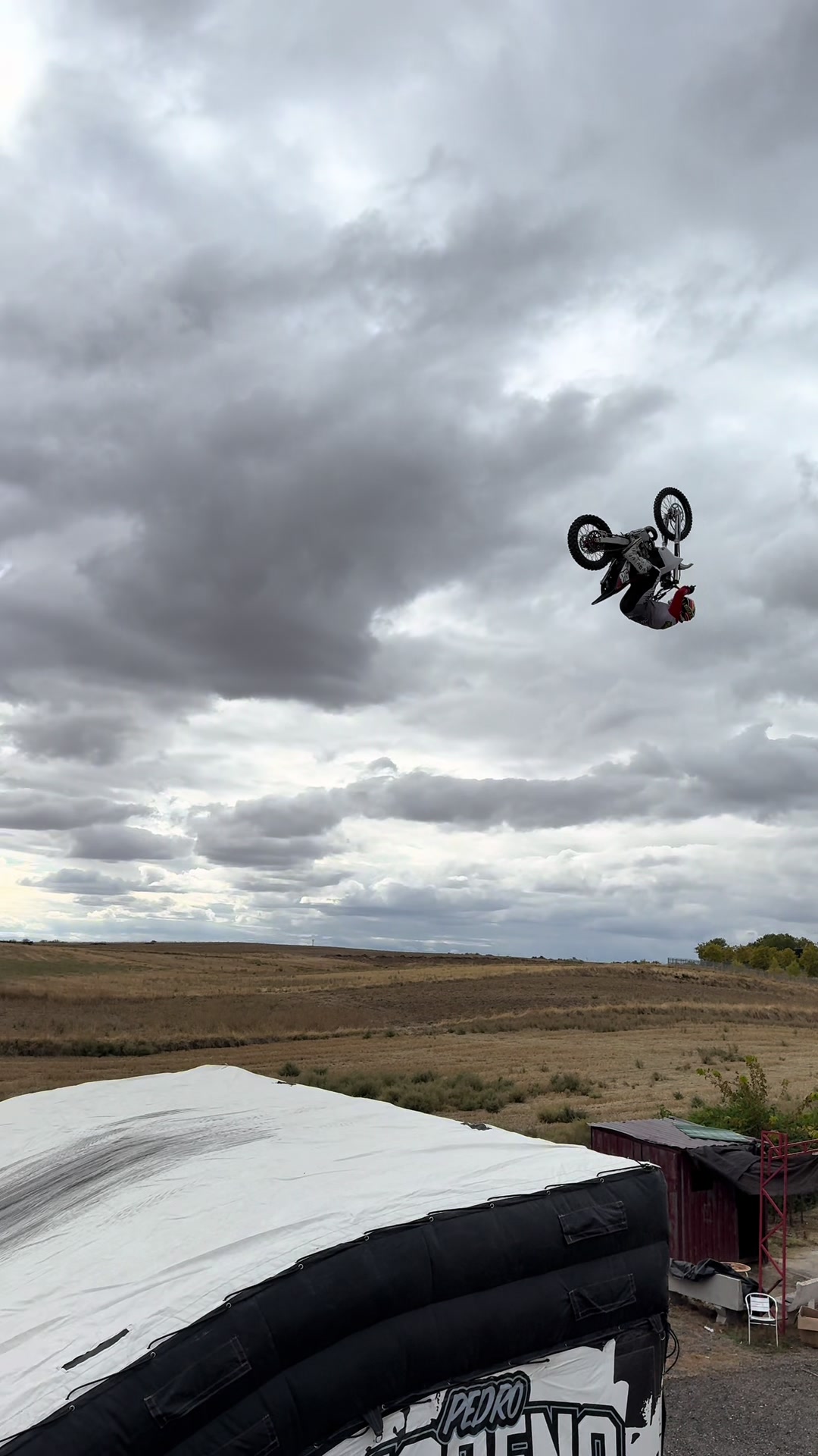@Pedro Moreno Fmx