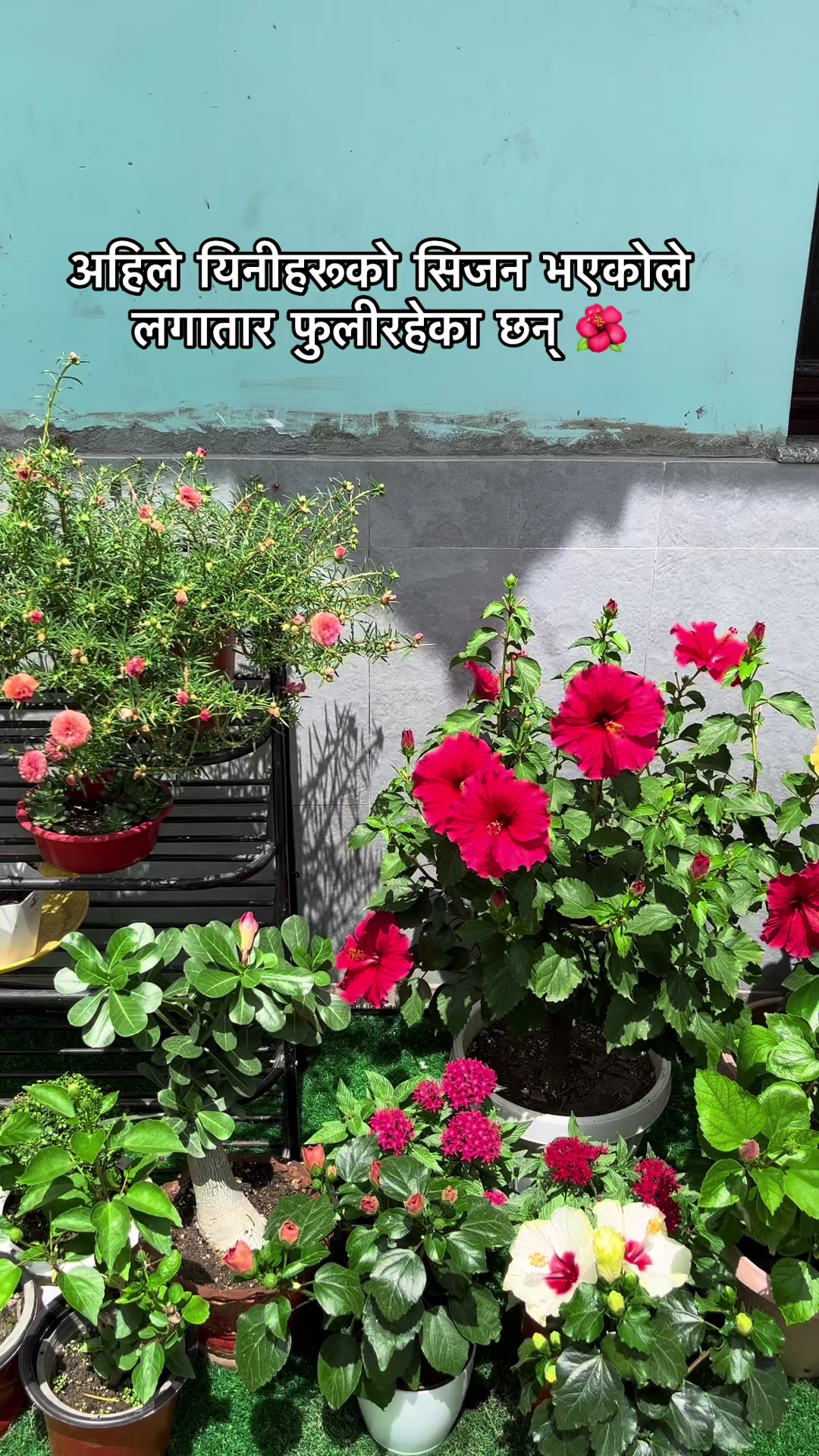 @poonam_shah 🧿🍀