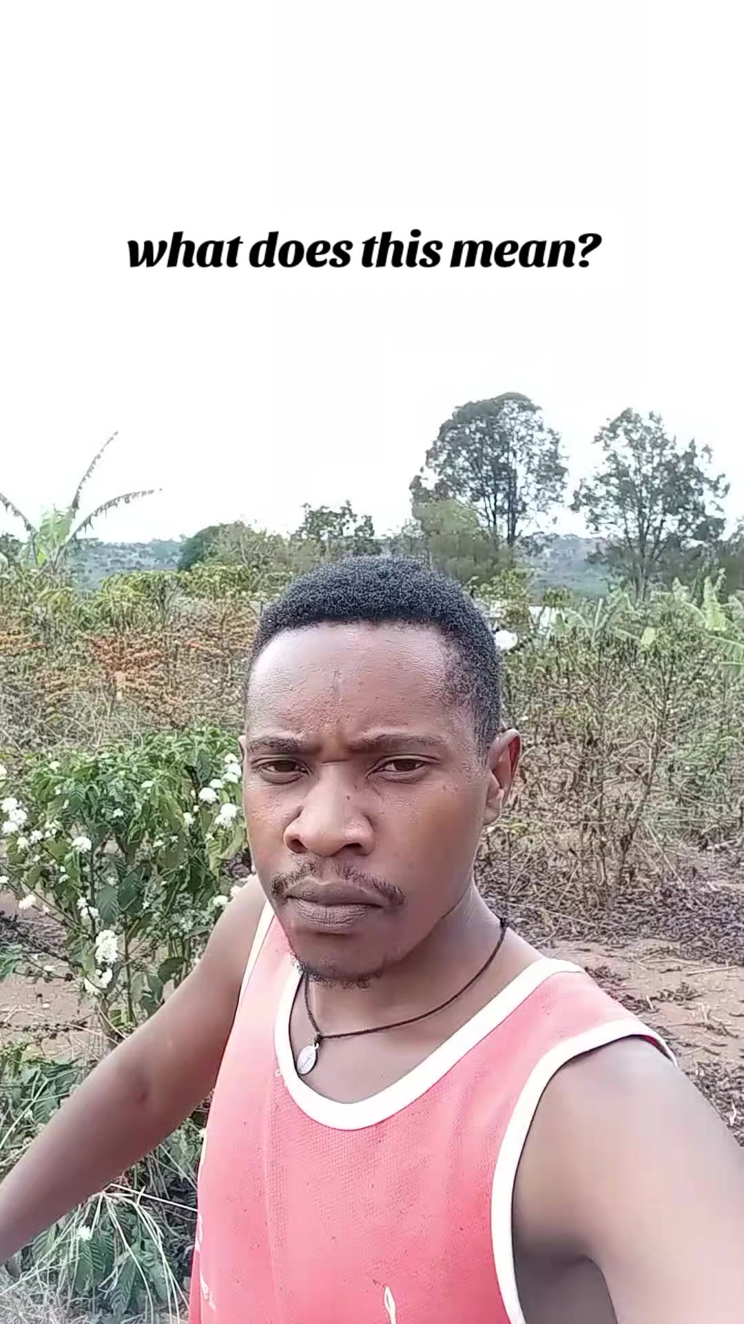 @MUKISSA AGRO Ug🌿