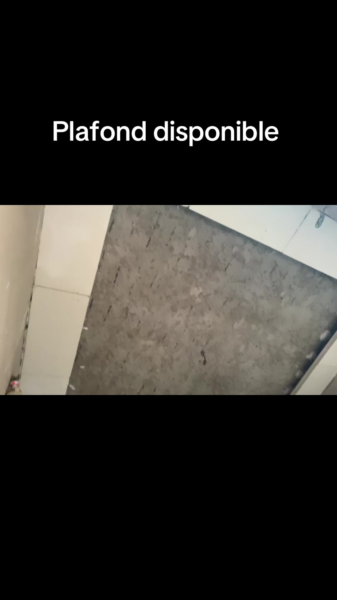 @Plafond 241✪🦺