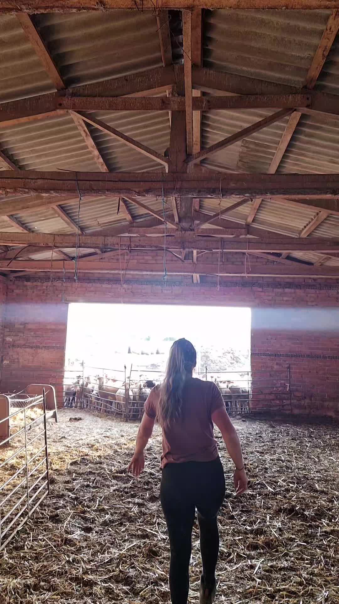 @Ari La Pastora
