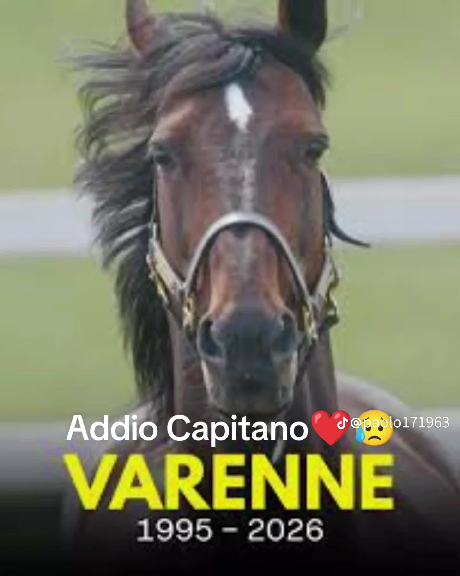 @ULISSE SOLOMITA