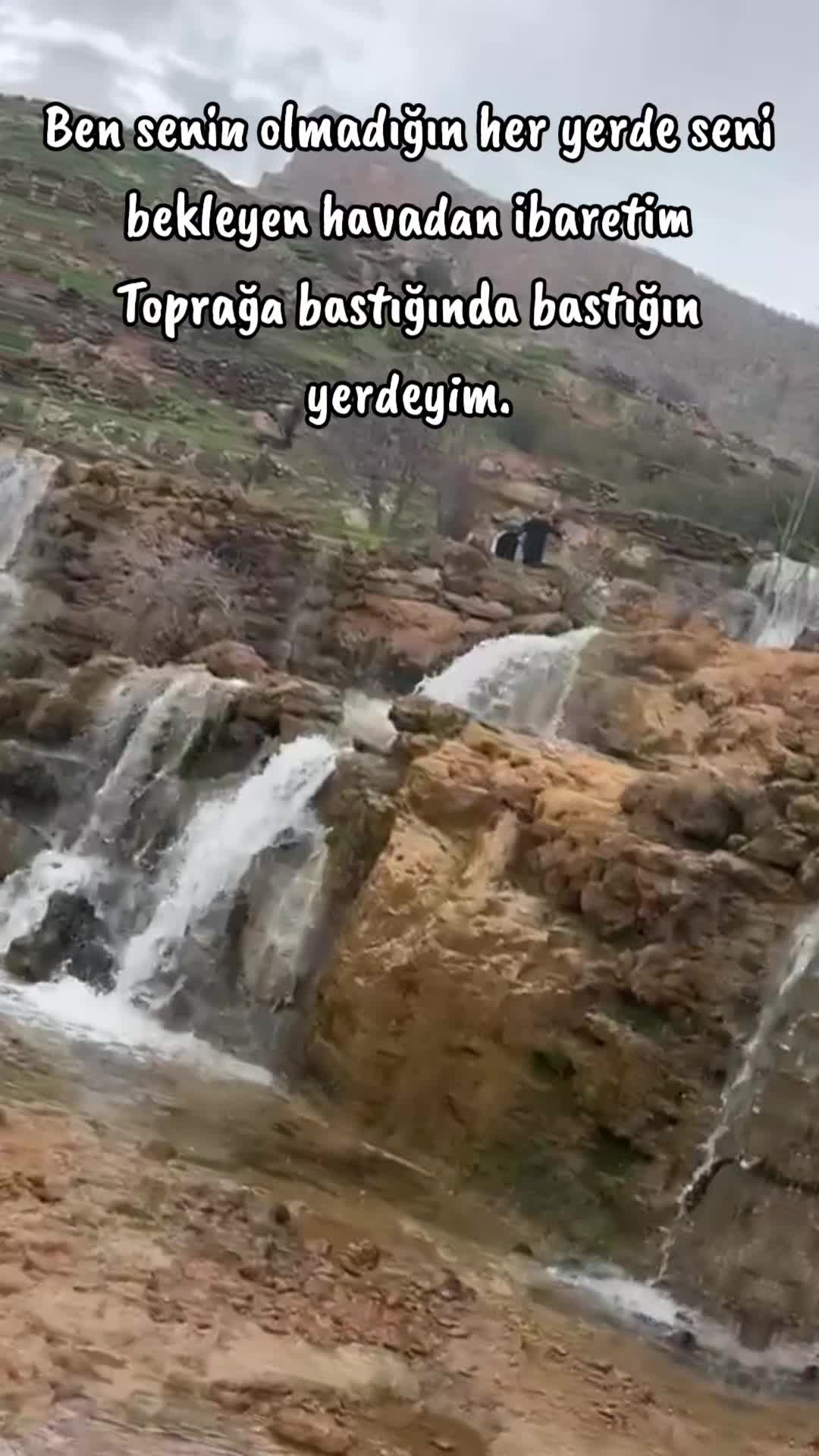@💚❤️💛 EVİNA DİLEMIN 💚❤️💛