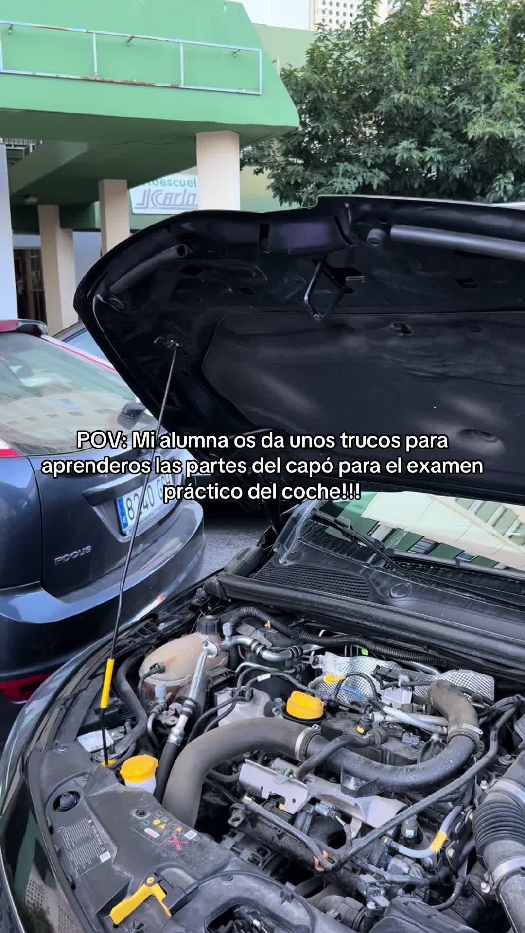 @Tu profe de confianza ❤️🚘