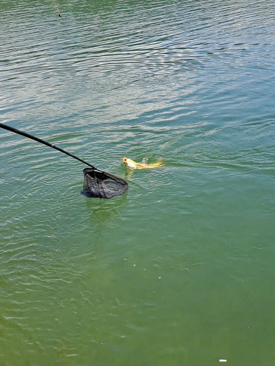 @FitimHajrullahuFishing